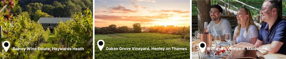 Images from vineyards around South East England